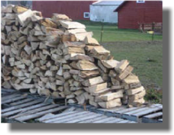 Firewood